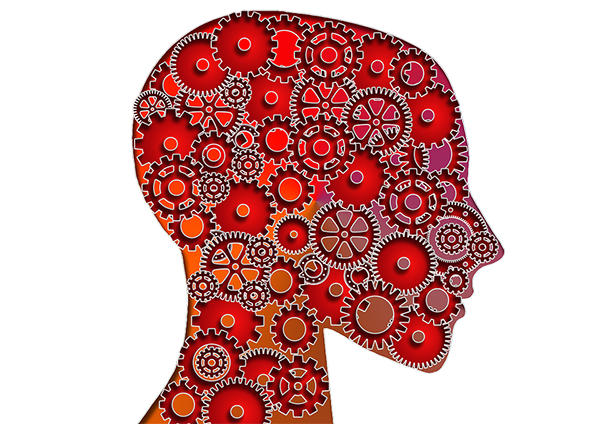 Is AP Psychology Hard? 5 Key Factors Discussed