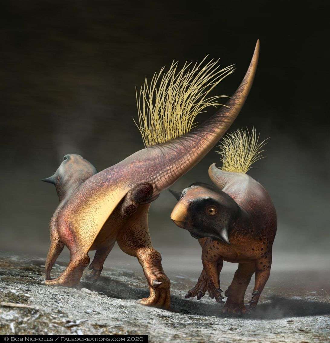 Paleontologists finally take their first good look at the ...