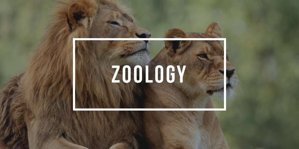 Revealing the best zoology colleges in the world