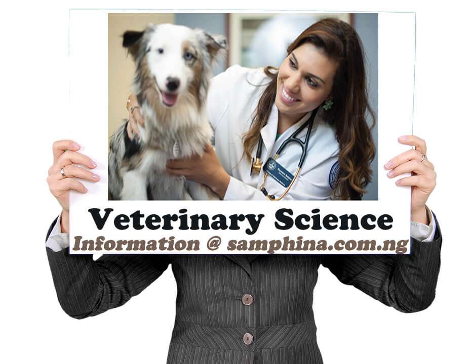 Universities Offering Veterinary Science in Nigeria ...