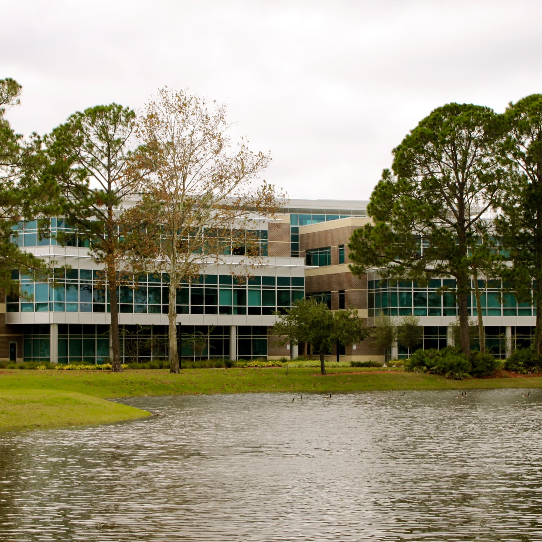 University of North Florida